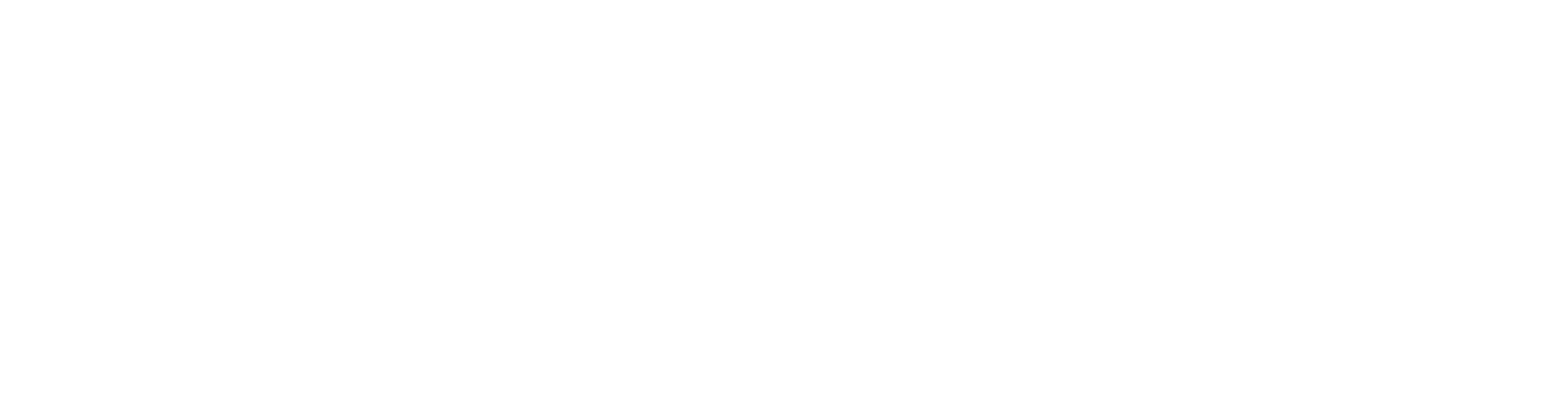 Logo liiribaenz